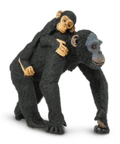chimpanzee toy