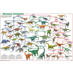 Dinosaur Evolution Laminated Poster by Feenixx