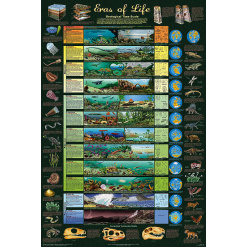 Eras of Life Geological Time Scale Laminated Poster by Feenixx