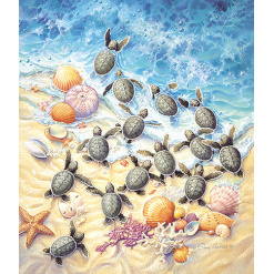 Green Turtle Hatchlings Puzzle by Sunsout