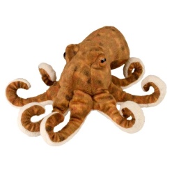 Octopus 8 by Wild Republic