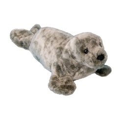 Speckles Monk Seal 13 by Douglas