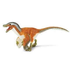Velociraptor by Safari