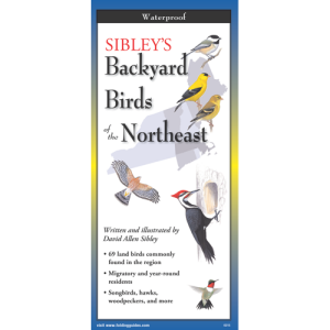 Backyard Birds of the Northeast by Earth Sky Water