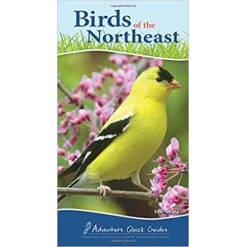 Birds of the Northeast Your Way to Easily Identify Backyard Birds by Adventure Publications