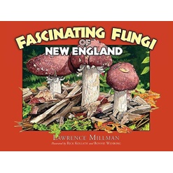 Fascinating Fungi of New England by Adventure Publications