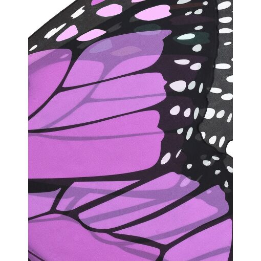 Purple Butterfly Wings by Douglas 1