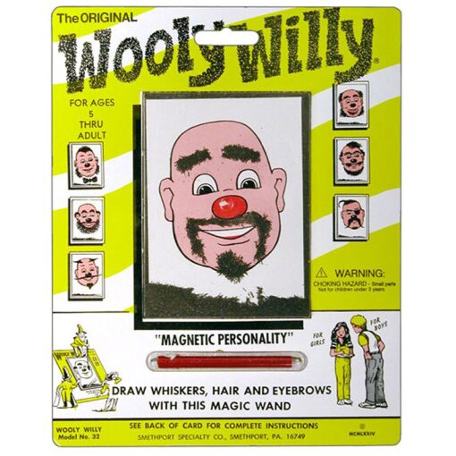 Wooly Willy by Playmonster 1