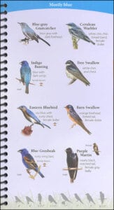 Birds of the Northeast Your Way to Easily Identify Backyard Birds by Adventure Publications 1