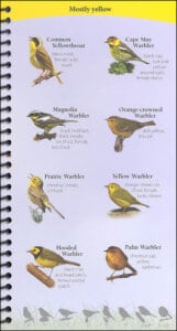 Birds of the Northeast Your Way to Easily Identify Backyard Birds by Adventure Publications 2