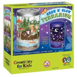 Glow NGrow Terrarium by Creativity for Kids